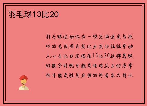 羽毛球13比20